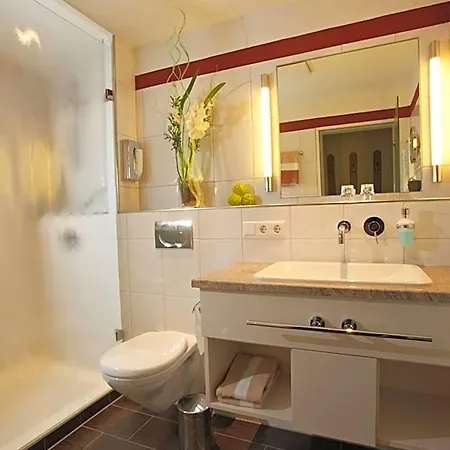 Hotel Restaurant Krone & Wellness - 3*