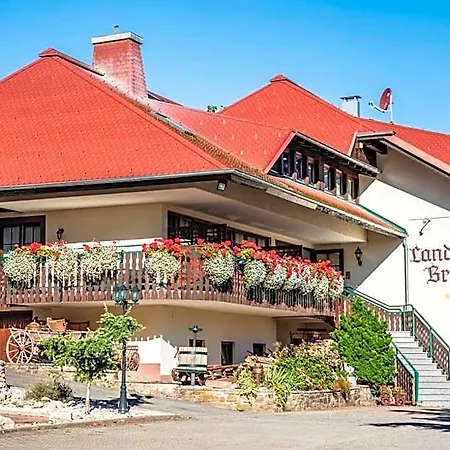 Restaurant Krone & Wellness - 3*