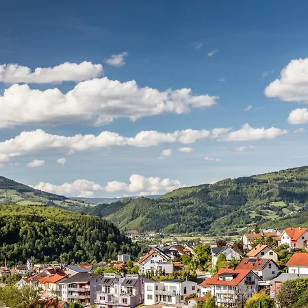 Restaurant Krone & Wellness - 3* Schopfheim