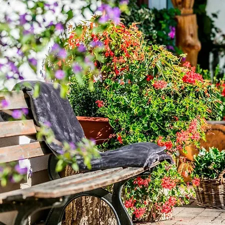 Restaurant Krone&wellness - Schopfheim