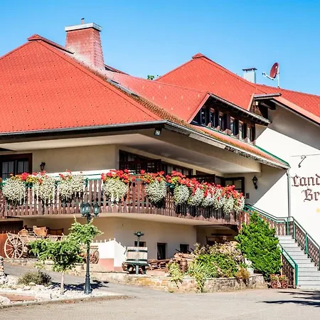 Restaurant Krone & Wellness - 3*
