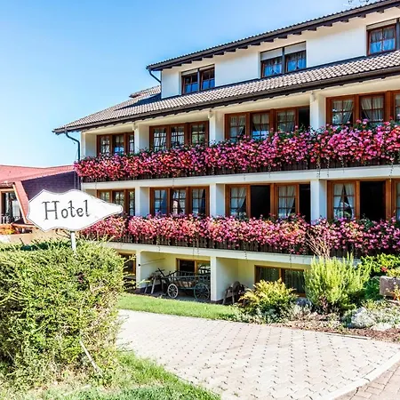 Restaurant Krone&wellness - Hotel 3*
