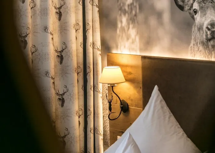 Hotell Restaurant Krone & Wellness - 3*